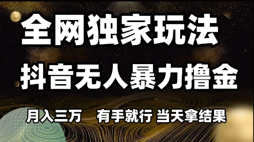 全网独家玩法抖音无人暴力撸金，月入3W，有手就行，当天拿结果【揭秘】-大伟资源网