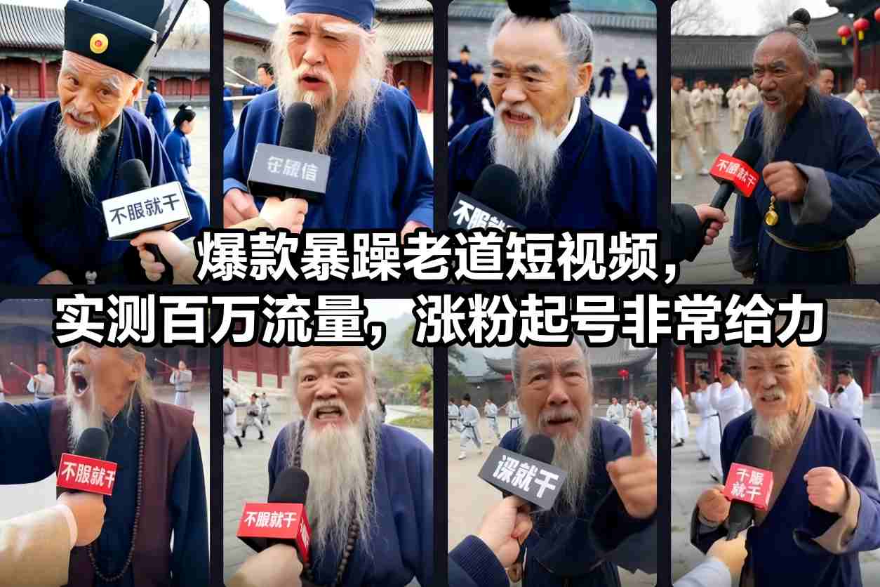 爆款暴躁老道短视频，实测百万流量，涨粉起号非常给力-大伟资源网