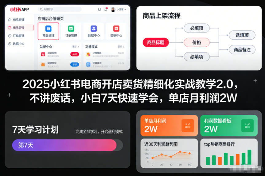 2025小红书电商开店卖货精细化实战教学2.0，不讲废话，小白7天快速学会，单店月利润2W-大伟资源网