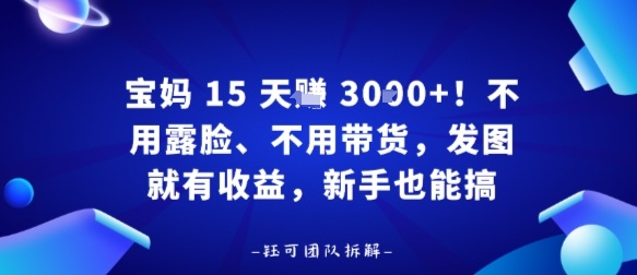 宝妈15天賺3k+！不用露脸、不用带货，发图就有收益，新手也能搞-大伟资源网