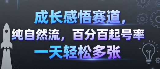 成长感悟赛道，纯自然流，百分百起号率 一天轻松多张-大伟资源网