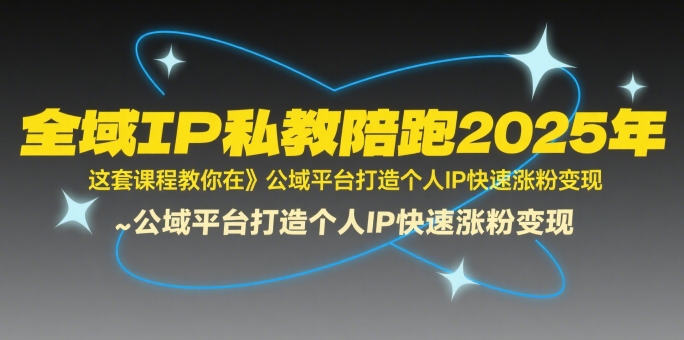 全域IP私教陪跑2025年，这套课程教你在公域平台打造个人IP快速涨粉变现-大伟资源网
