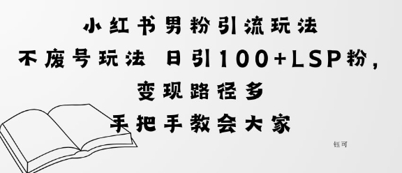 小红书男粉引流玩法不废号玩法日引100+LSP粉，变现路径多-大伟资源网