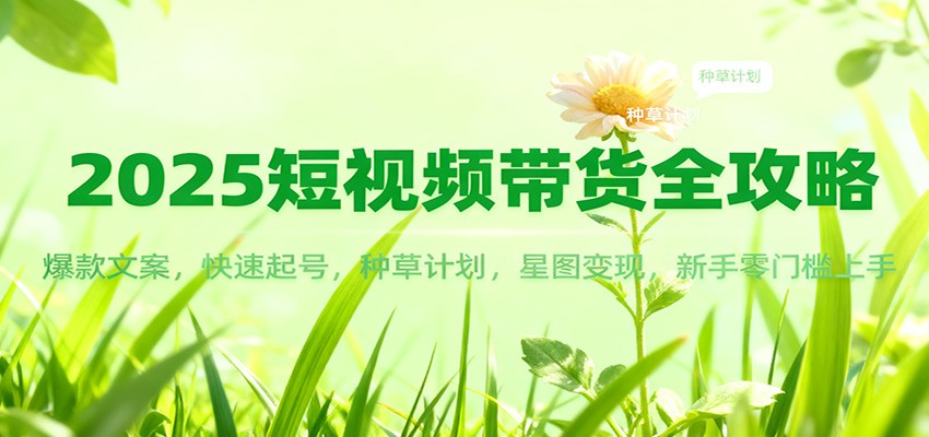 2025短视频带货全攻略：爆款文案，快速起号，种草计划，星图变现，新手零门槛上手-大伟资源网