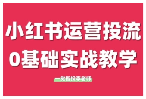 小红书运营投流，小红书广告投放从0到1的实战课，学完即可开始投放（更新）-大伟资源网