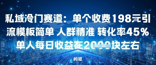 私域冷门赛道：单个收费198米引流模板简单人群精准转化率45%单人每日收益在1k+-大伟资源网