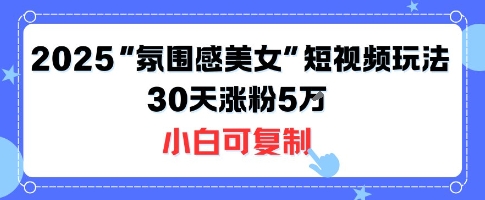 不露脸也能火！2025“氛围感美女”短视频玩法，30天涨粉5W小白可复制-大伟资源网
