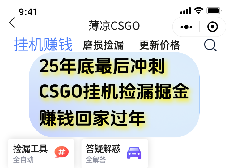 用CSGO游戏挂机捡漏掘金赚钱掘金，一部手机轻松日入500+-大伟资源网