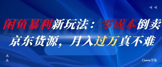 闲鱼暴利新玩法：零成本倒卖京东货源，月入过1W真不难-大伟资源网
