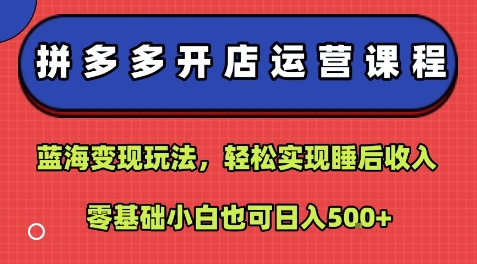 拼多多开店运营课程：蓝海变现玩法，轻松实现睡后收入，零基础小白也可日入5张-大伟资源网