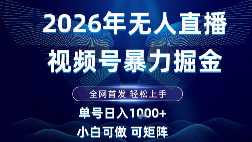 2026最新视频号无人直播掘金，全网首发，小白可以玩，长期稳定日入1k+【揭秘】-大伟资源网