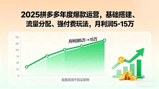 （15973期）2025拼多多年度爆款运营，基础搭建、流量分配、强付费玩法，月利润5-15万-大伟资源网