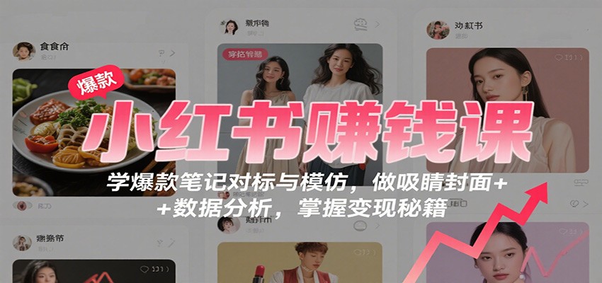 小红书赚钱课：学爆款笔记对标与模仿，做吸睛封面 + 数据分析，掌握变现秘籍-大伟资源网