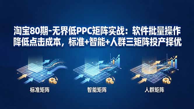 淘宝80期-无界低PPC矩阵实战：软件批量操作降低点击成本，标准+智能+人群三矩阵投产择优-大伟资源网
