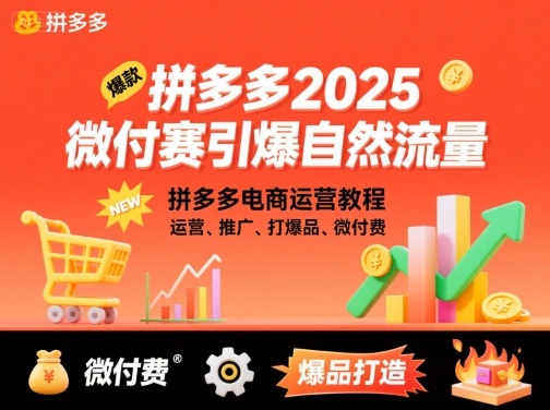 拼多多2025微付费引爆自然流量，拼多多电商运营教程，运营、推广、打爆品、微付费(更新)-大伟资源网