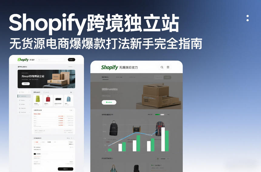 Shopify跨境独立站无货源电商爆款打法新手完全指南-大伟资源网