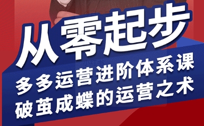 拼多多运营进阶系统课，从零起步，多多运营进阶体系课，破茧成蝶的运营之术-大伟资源网