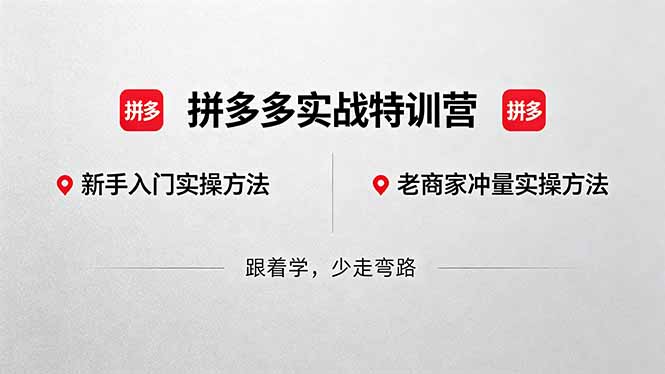 拼多多实战特训营(更新5月3-大伟资源网