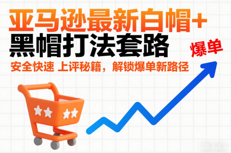 亚马逊最新白帽+黑帽打法套路，安全快速上评秘籍，解锁爆单新路径-大伟资源网