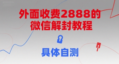 外面收费2888的微信解封教程，具体自测-大伟资源网