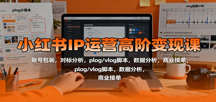 小红书IP运营高阶变现课：账号包装，对标分析，plog/vlog脚本，数据分析，商业接单-大伟资源网
