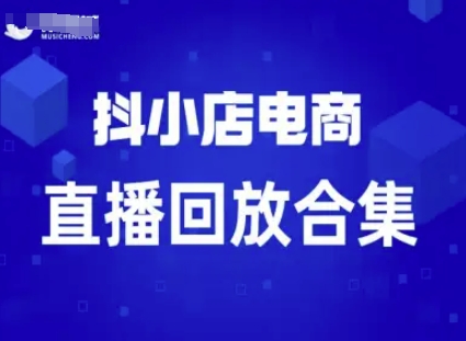 短视频电商：抖小店变现从0到盈利过直播回放-大伟资源网