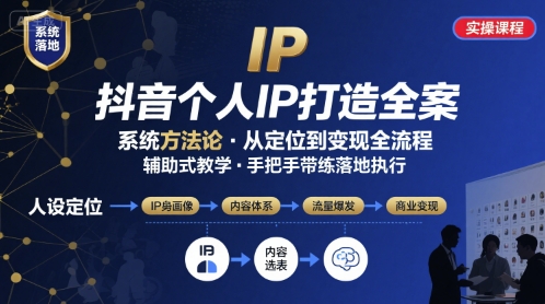 抖音个人IP系统落地实操大课，实操课程，辅助落地-大伟资源网