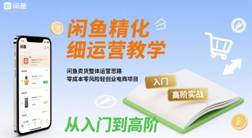 闲鱼精细化运营入门+高阶实战教学，闲鱼卖货整体运营思路，零成本零风险轻创业电商项目-大伟资源网