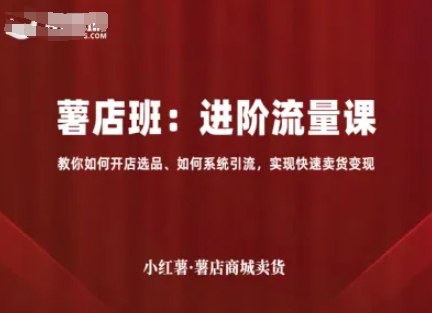 小红薯薯店商城卖货，进阶流量课，教你如何开店选品、如何系统引流，实现快速卖货变现-大伟资源网