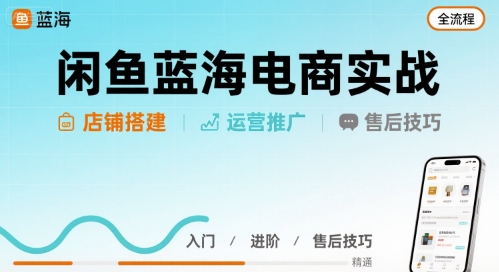 闲鱼蓝海电商实战，店铺搭建运营售后全流程-大伟资源网