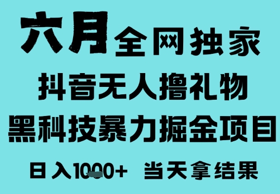 25年6月高爆抖音无人直播最新撸音浪掘金项目，门槛低小白可做，无脑日入1k，可矩阵放大【揭秘】-大伟资源网