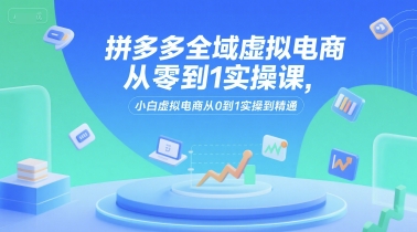 拼多多全域虚拟电商从零到1实操课，小白虚拟电商从0到1实操到精通-大伟资源网