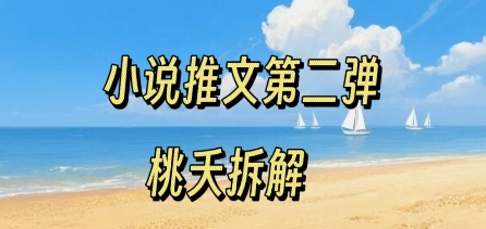 小说推文项目操作全流程第二弹，0粉就能做，门槛低非常适合新手-大伟资源网
