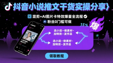 抖音小说推文干货实操分享，混剪+AI图片卡特效爆量全流程，0粉丝0门槛可做-大伟资源网