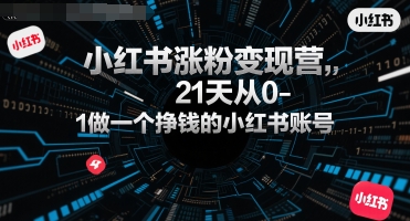 小红书涨粉变现营，21天从0-1做一个挣钱的小红书账号-大伟资源网
