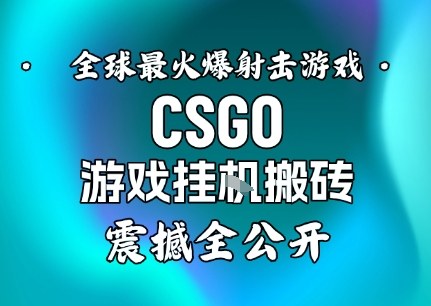 【年底大揭秘】基于全球最火爆的射击CSGO游戏挂G搬砖，日入5张+，震撼公开-大伟资源网