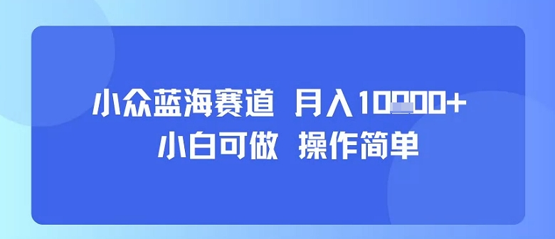 小众蓝海赛道，小白可做，操作简单，每天30分钟，月入1W+-大伟资源网
