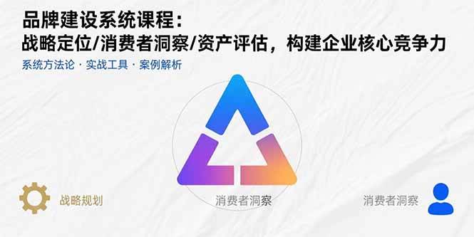 （15772期）品牌建设系统课程：战略定位/消费者洞察/资产评估，构建企业核心竞争力-大伟资源网