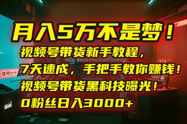 （15595期）月入5万不是梦！视频号带货新手教程，7天速成，手把手教你赚钱！视频号…-大伟资源网