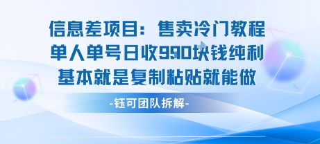信息差项目：售卖冷门教程单人单号日收9张纯利基本就是复制粘贴就能做-大伟资源网