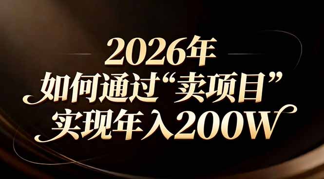 站在2026年的十字路口：一个普通人如何通过卖项目实现年入200万-大伟资源网