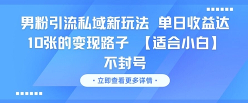 男粉引流私域新玩法，单日收益达10张的变现路子 【适合小白】不封号-大伟资源网