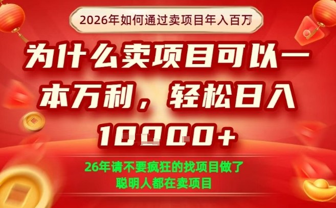 一单净利润1K+，26年想年入100个W，死磕卖项目就够了【揭秘】-大伟资源网