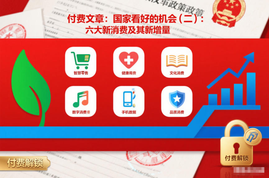付费文章：国家看好的机会(二)：六大新消费及其新增量-大伟资源网
