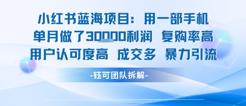 小红书蓝海项目，一部手机单月做了3W利润，小白也能月入过1W用户认可度高成交多-大伟资源网
