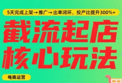 淘宝截流快速起店玩法，掌握暴力快速起店的流程，5天完成上架-推广-出单闭环-大伟资源网