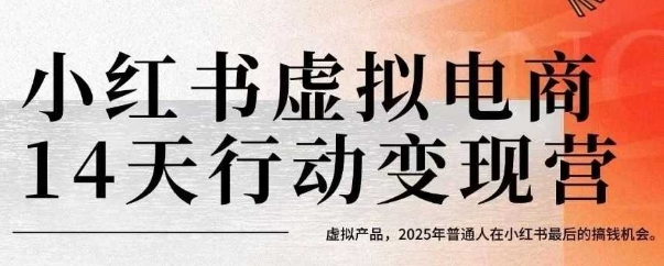 小红书虚拟电商14天变现训练营，虚拟产品，2025年普通人在小红书最后的搞钱机会（更新）-大伟资源网