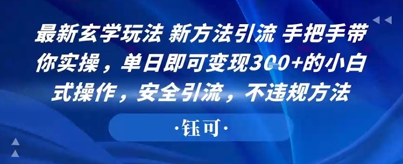 最新玄学玩法新方法引流手把手带你实操，单日即可变现3张+的小白式操作，安全引流，不违规方法-大伟资源网