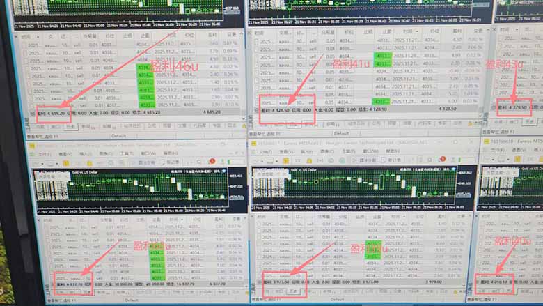 2025超前美金自动量化！单人单日收益1000+，线下学习，支持实地考察-大伟资源网