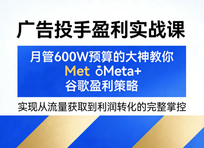 广告投手盈利实战课，月管600W预算的大神教你Meta+谷歌盈利策略，实现从流量获取到利润转化的完整掌控-大伟资源网